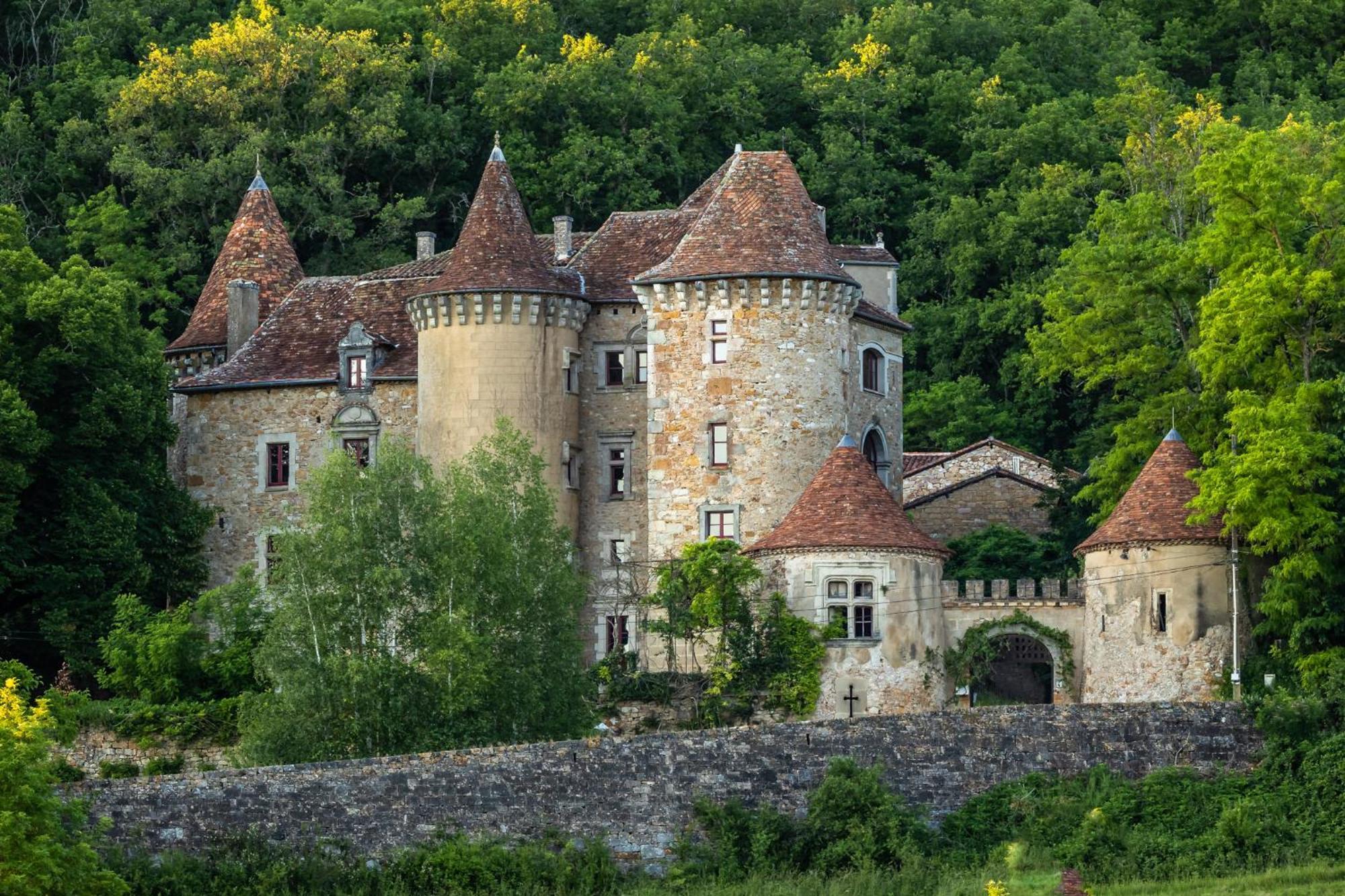 Chateau De Saint Dau Villa ฟีแฌก ภายนอก รูปภาพ