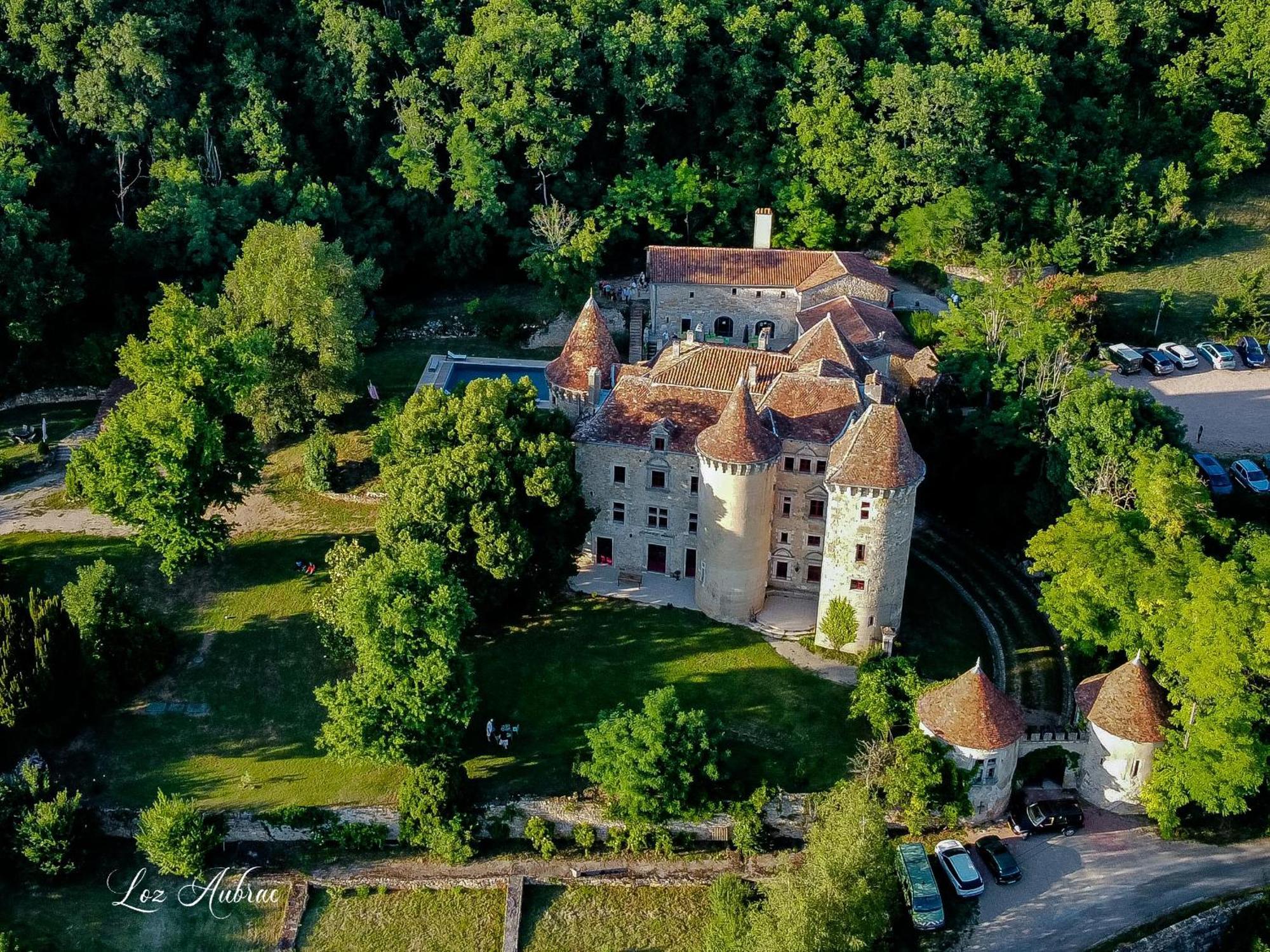 Chateau De Saint Dau Villa ฟีแฌก ภายนอก รูปภาพ